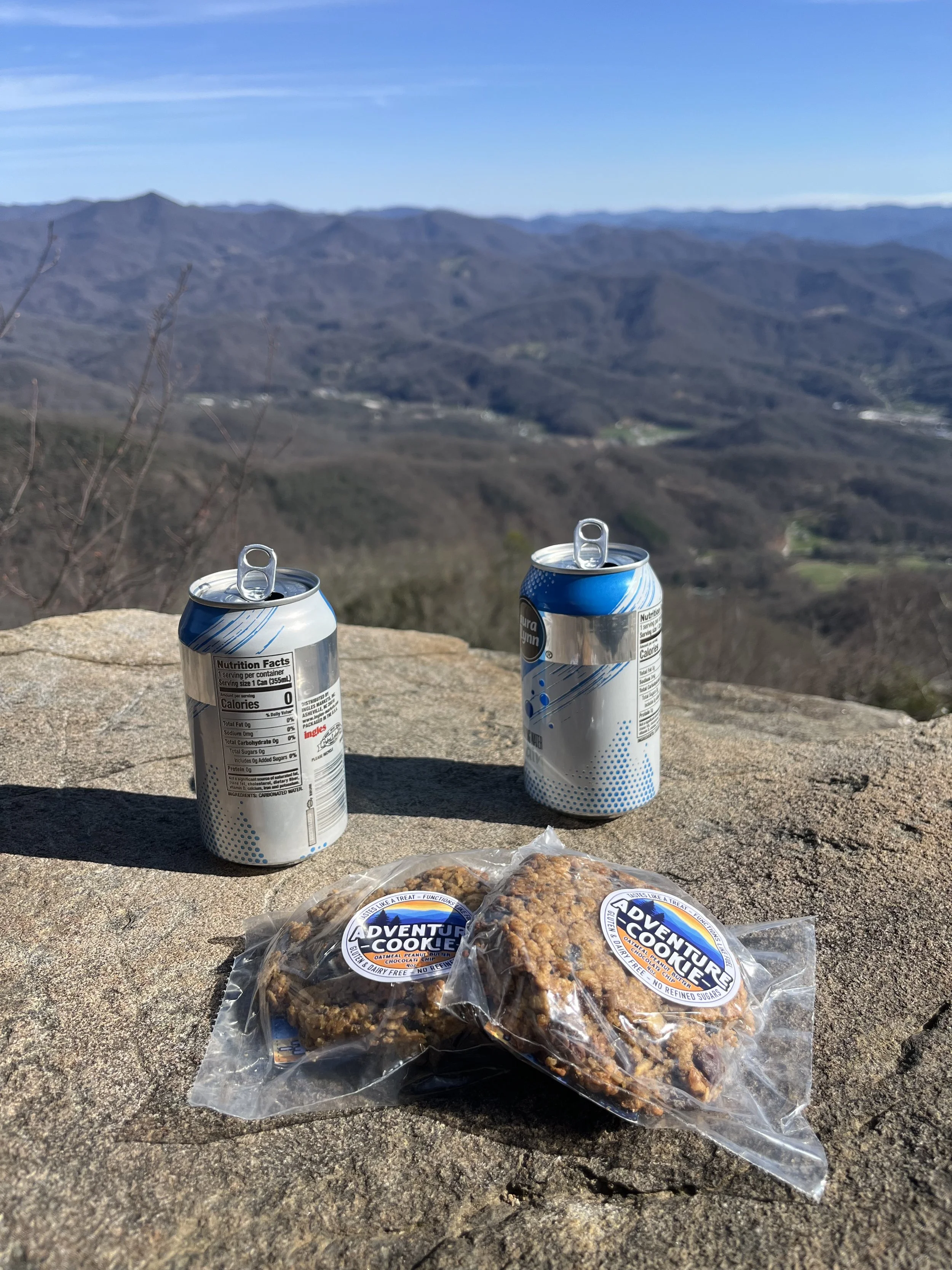 summit adventure cookies.jpeg