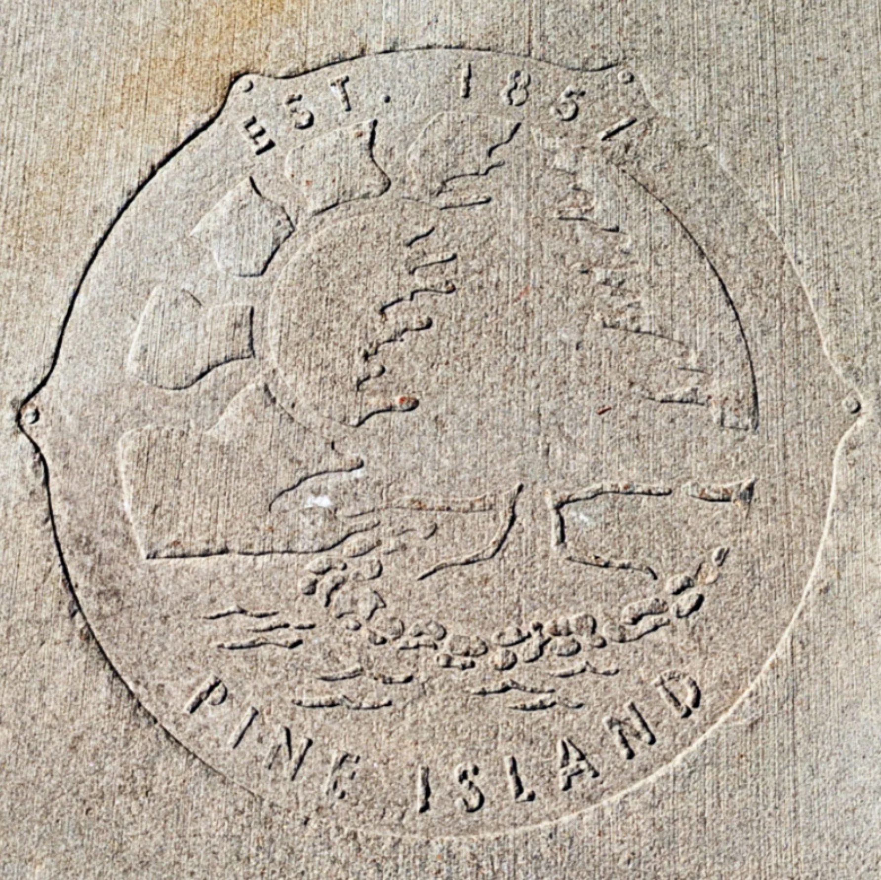 Pine Island City Council Meeting