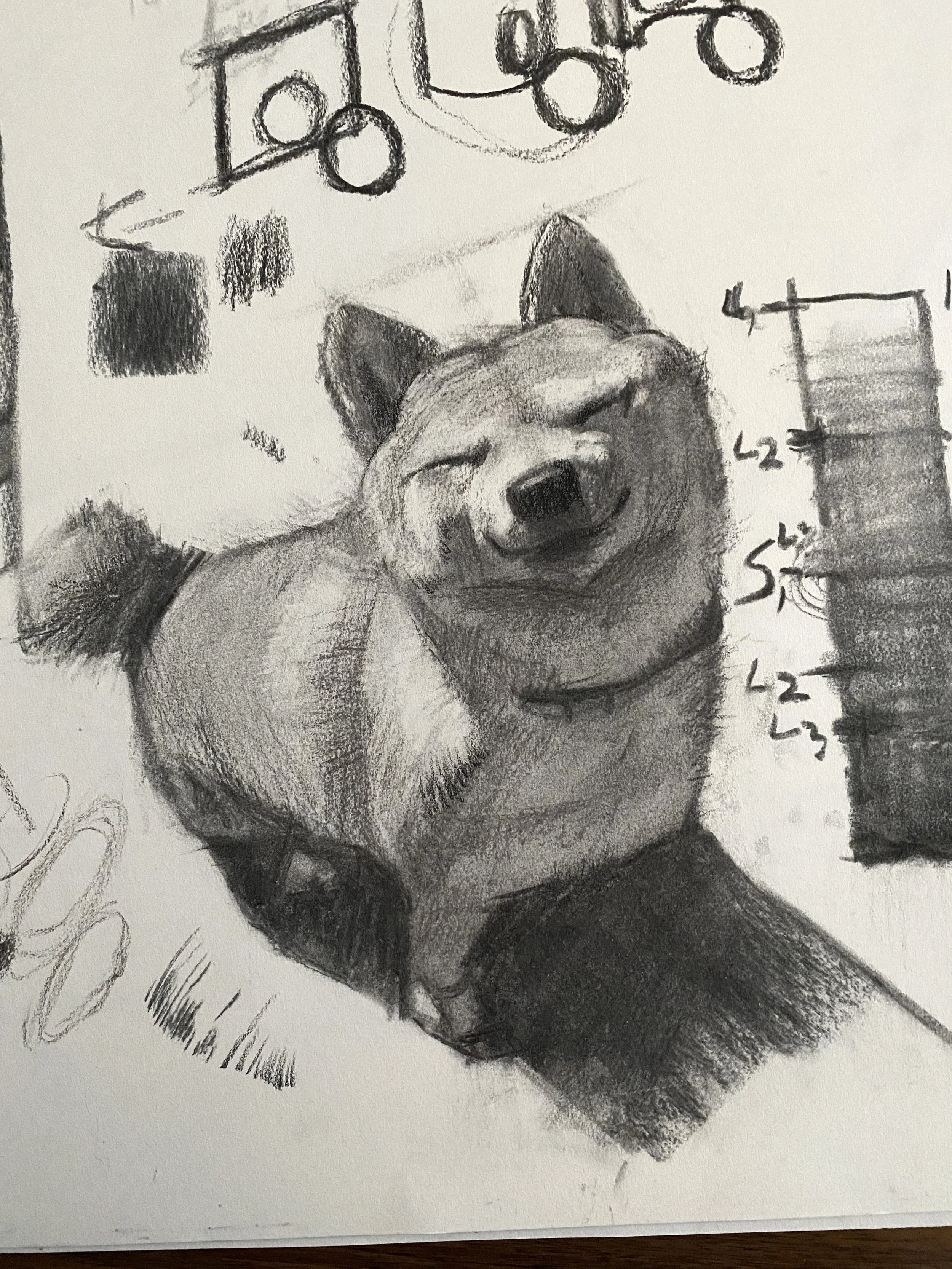 A grayscale charcoal sketch of a happy, smiling dog sitting, with other sketches and teaching demonstration drawings around it.