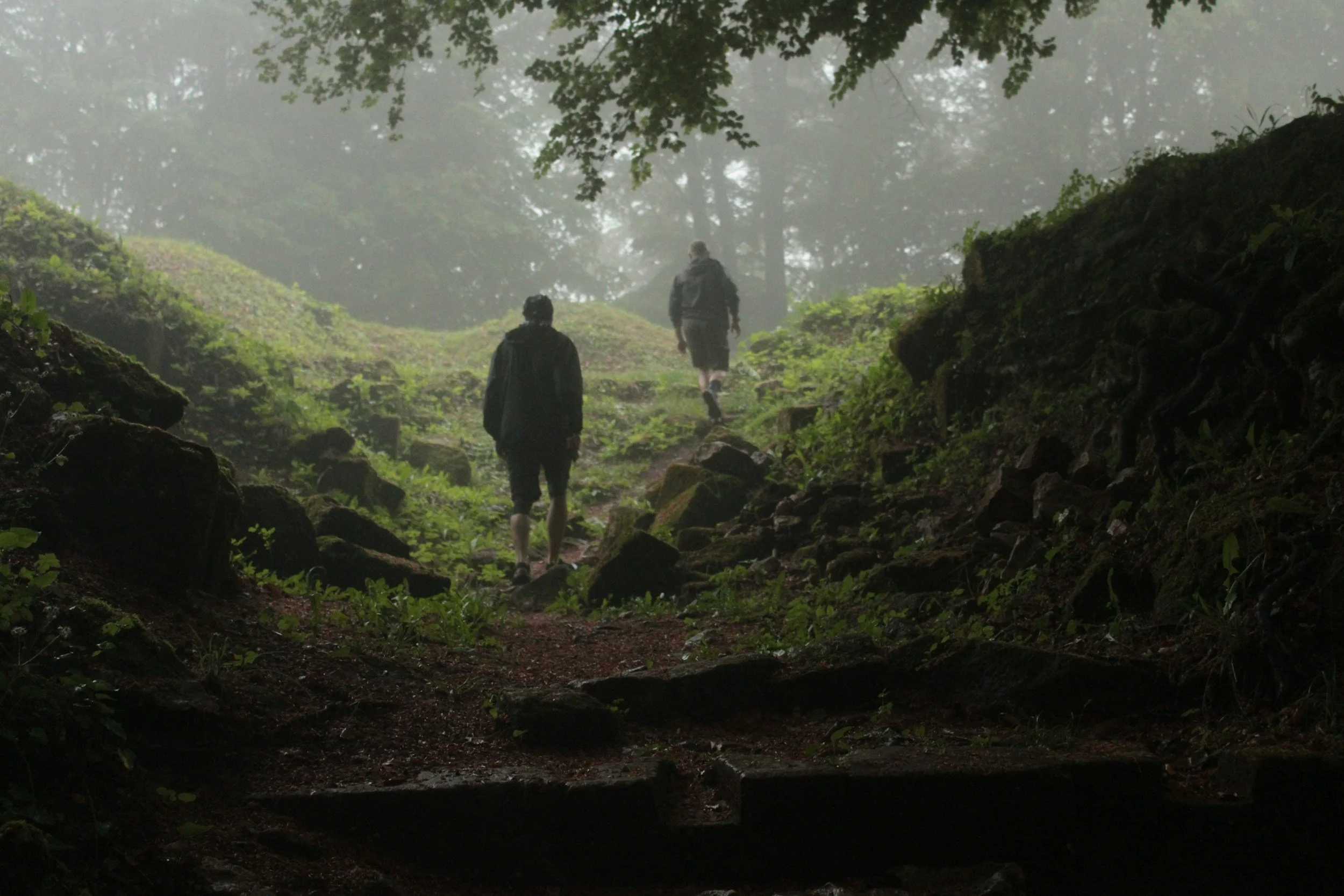 Two people hiking up a foggy forest trail surrounded by greenery and rocks.