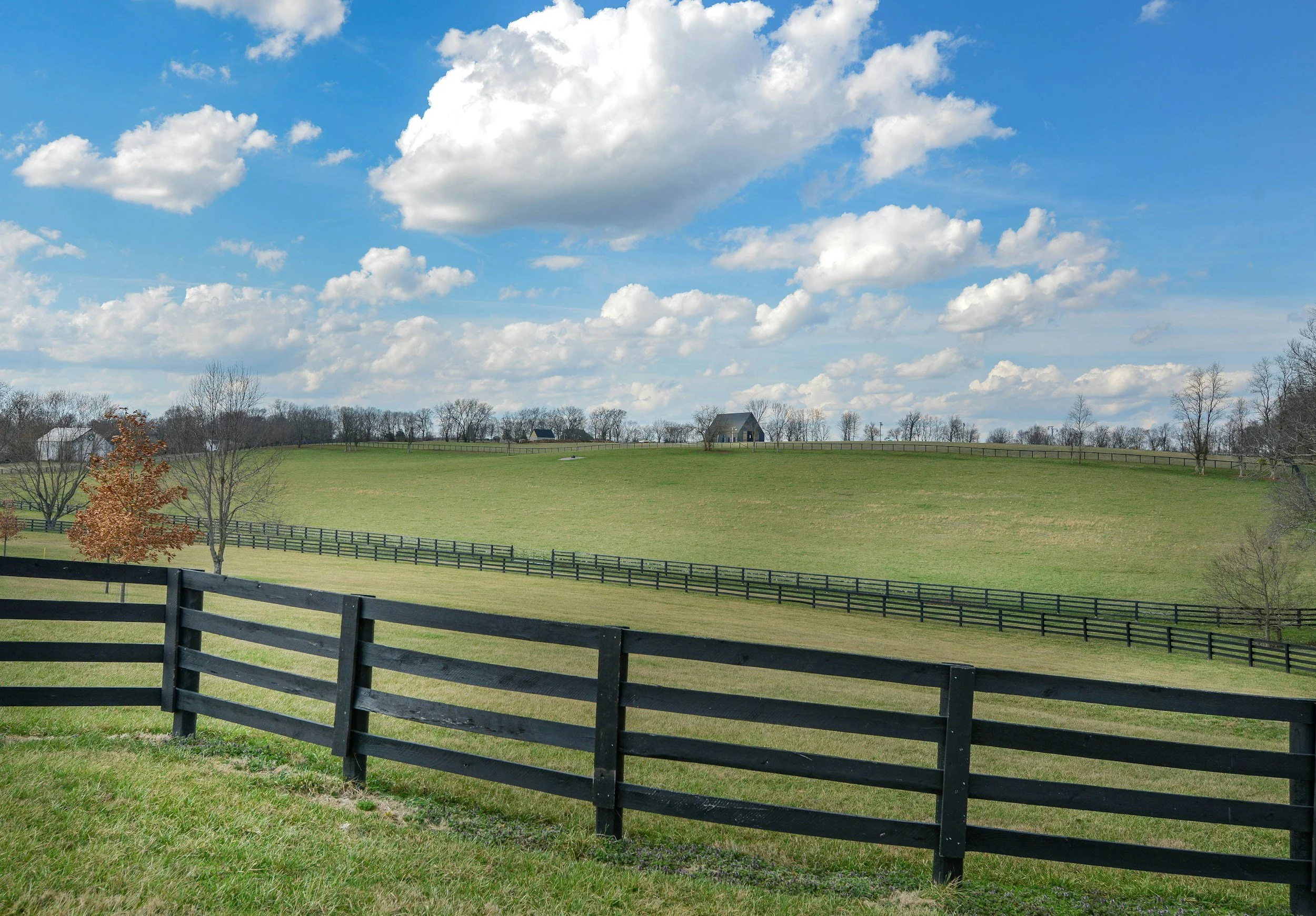 Green rolling hills with black fences, two leafless trees with one having brown leaves, a small barn on top of the hill, and a partly cloudy blue sky.