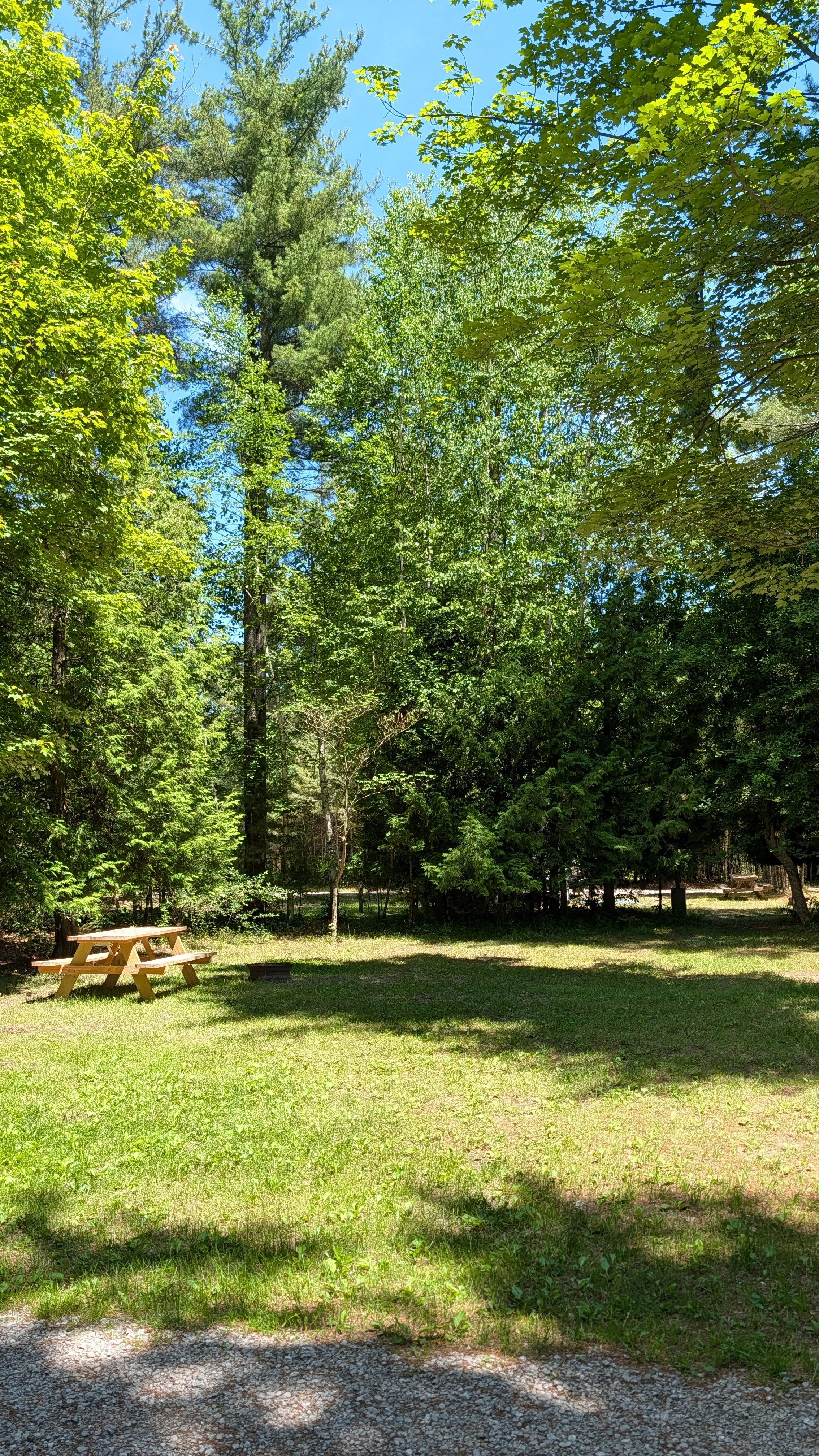 PXL_20260621_182028678.jpg