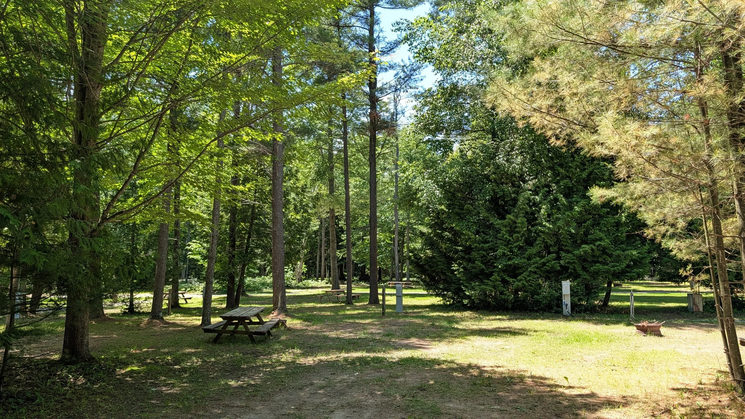 PXL_20260621_181345895.jpg
