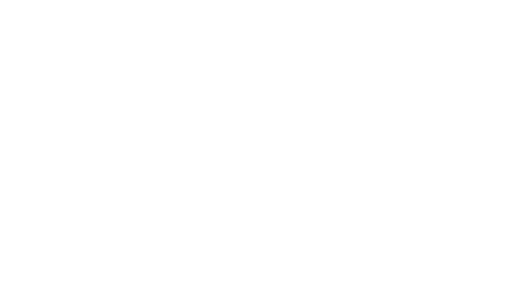 Team — BlueRidge Real Estate Partners