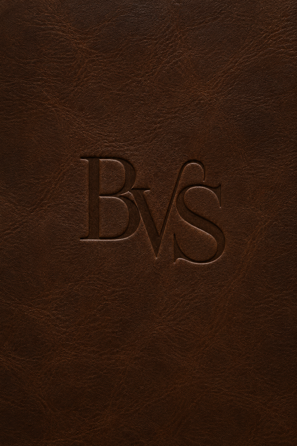 Embossed Buena Vista Studio monogram on a rich brown leather cover