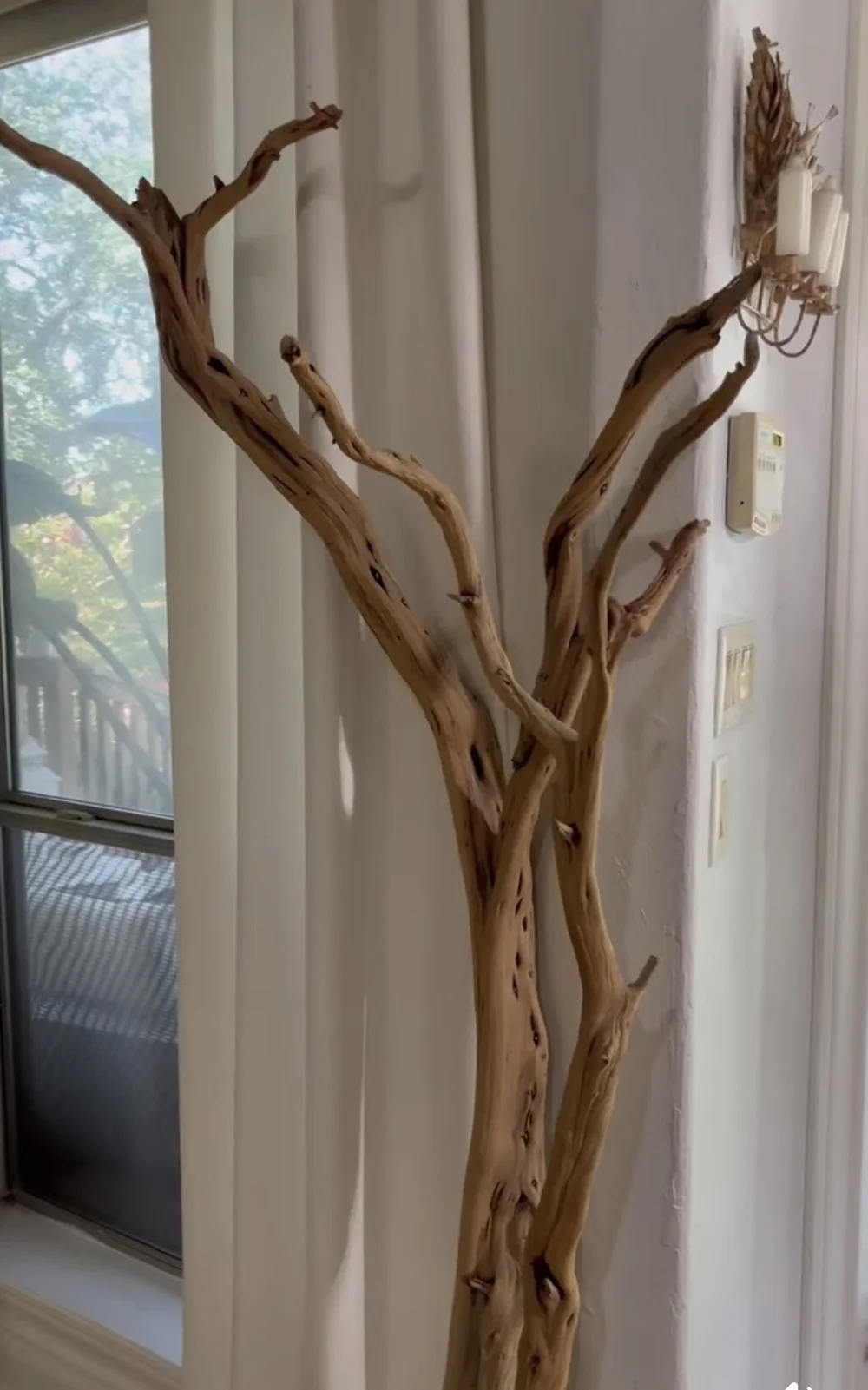 Ghostwood before construction of The GVNG Tree