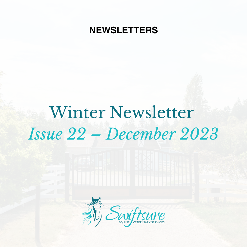 Winter 2023 - Issue 22 | Click to Download