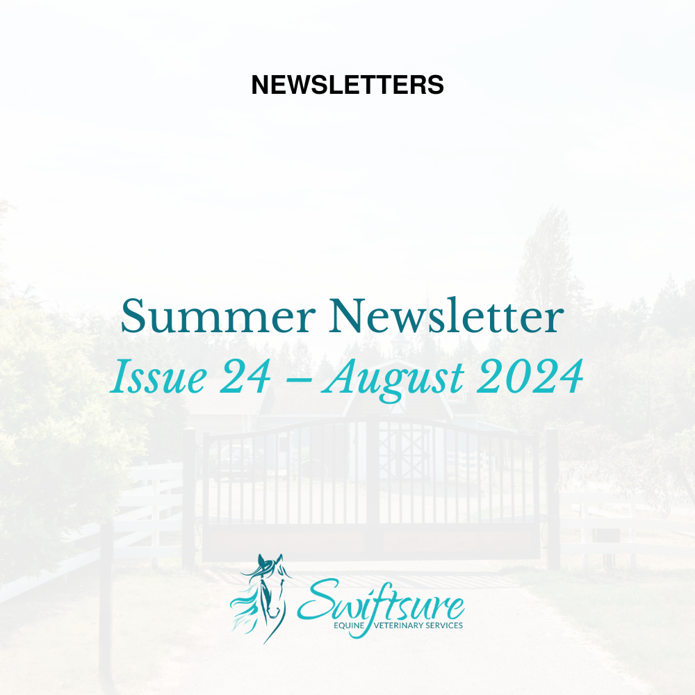 Summer 2024 - Issue 24 | Click to Download