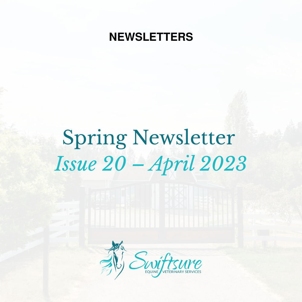 Spring 2023 - Issue 20 | Click to Download