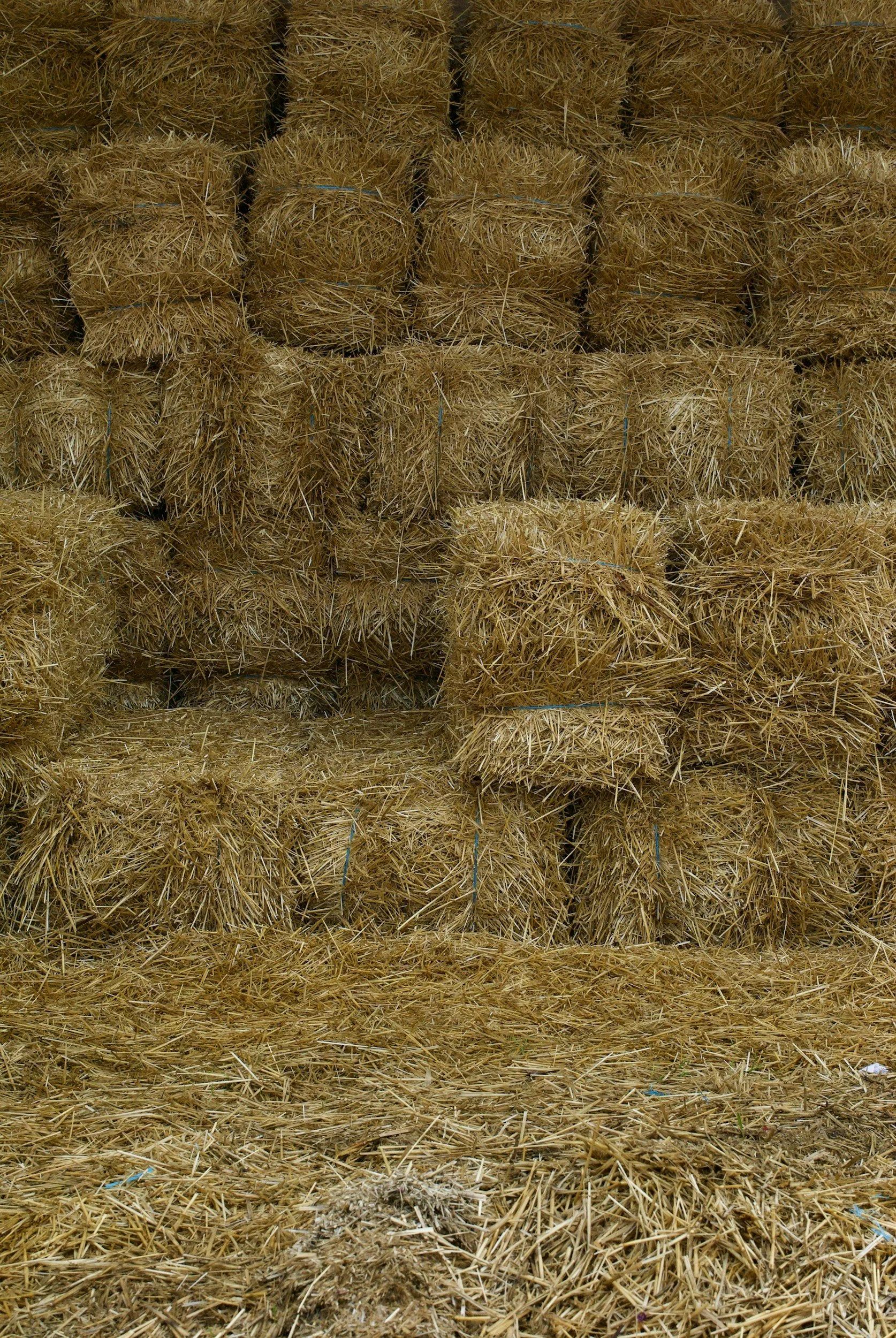 Hay Analysis