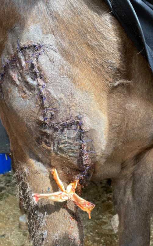 An Unwanted Flap