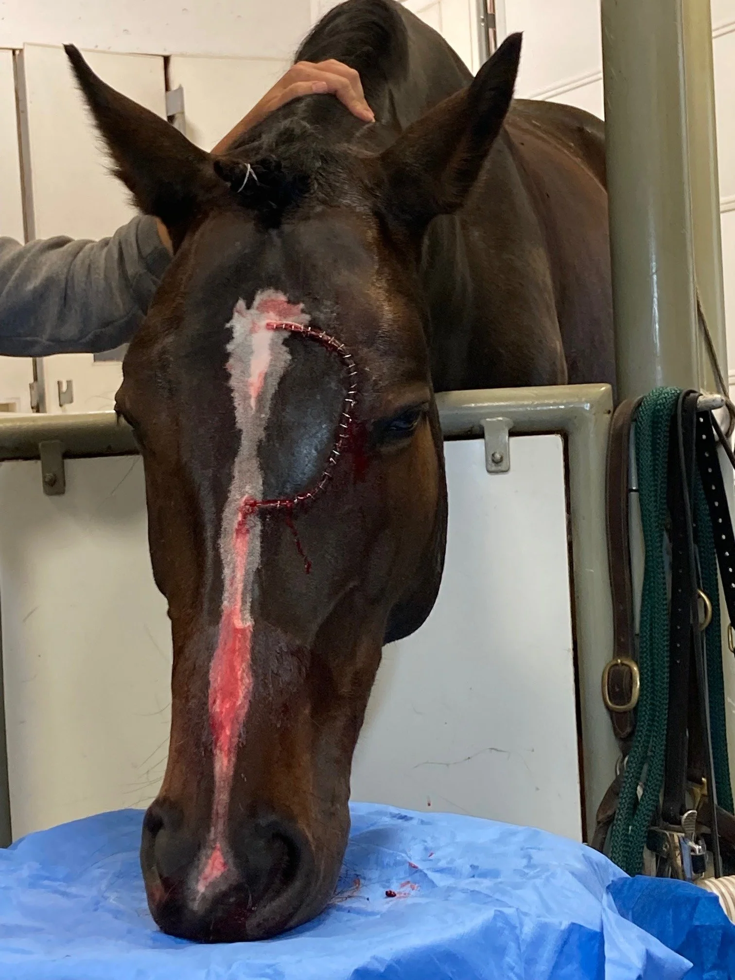 A Pain in the Mouth