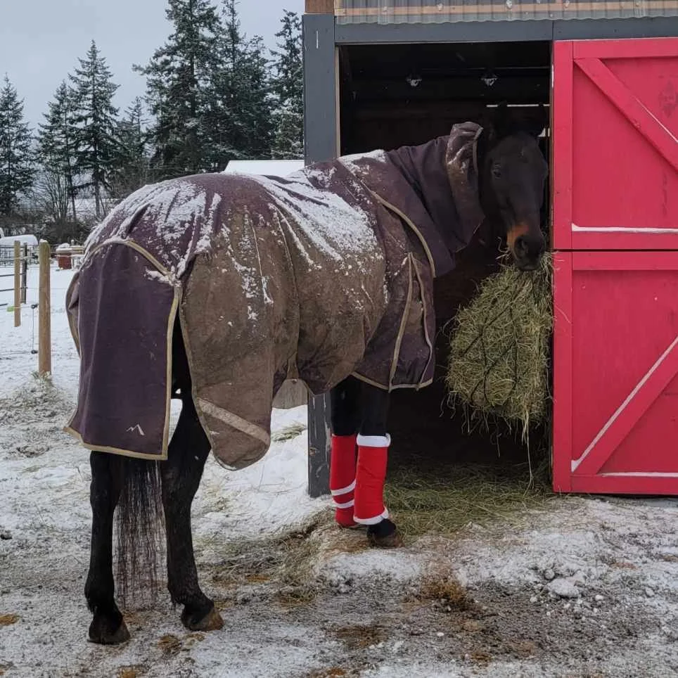 A Christmas Miracle!