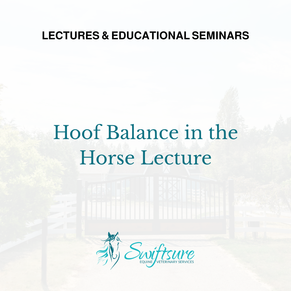 Download Lecture