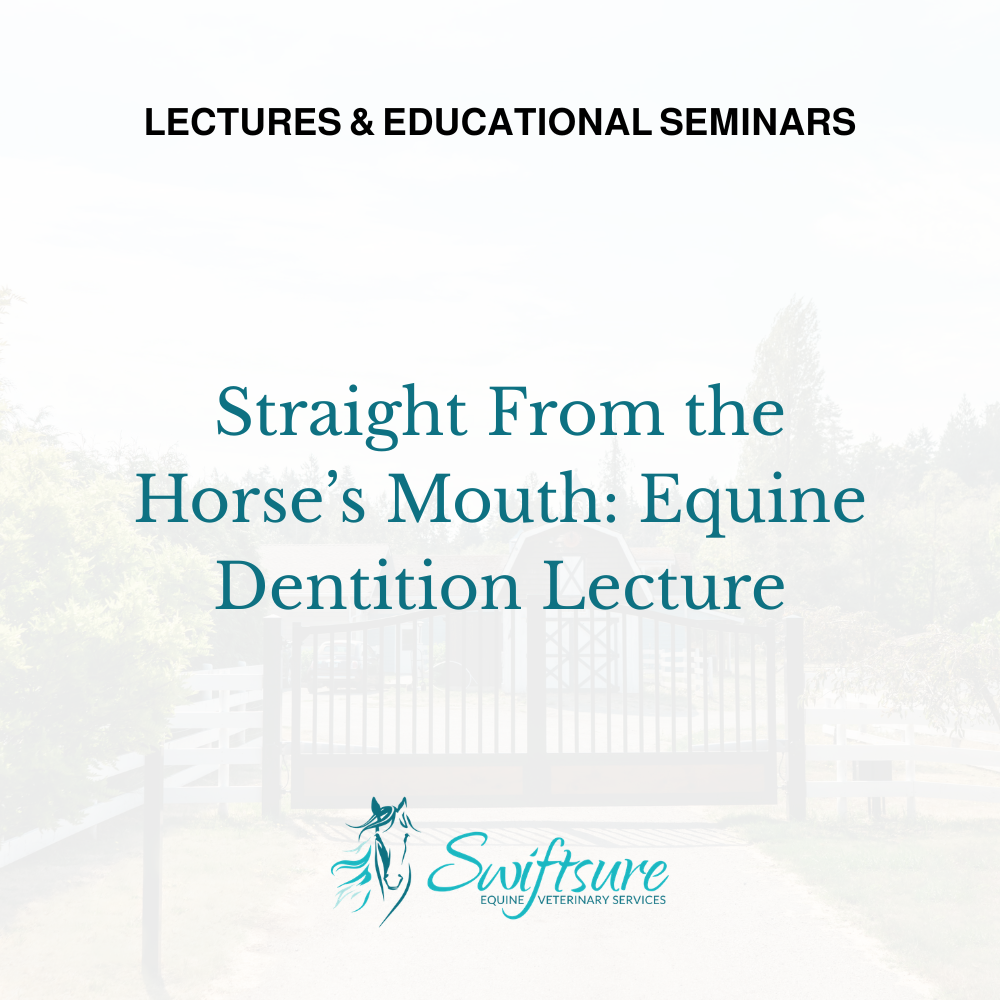 Download Lecture