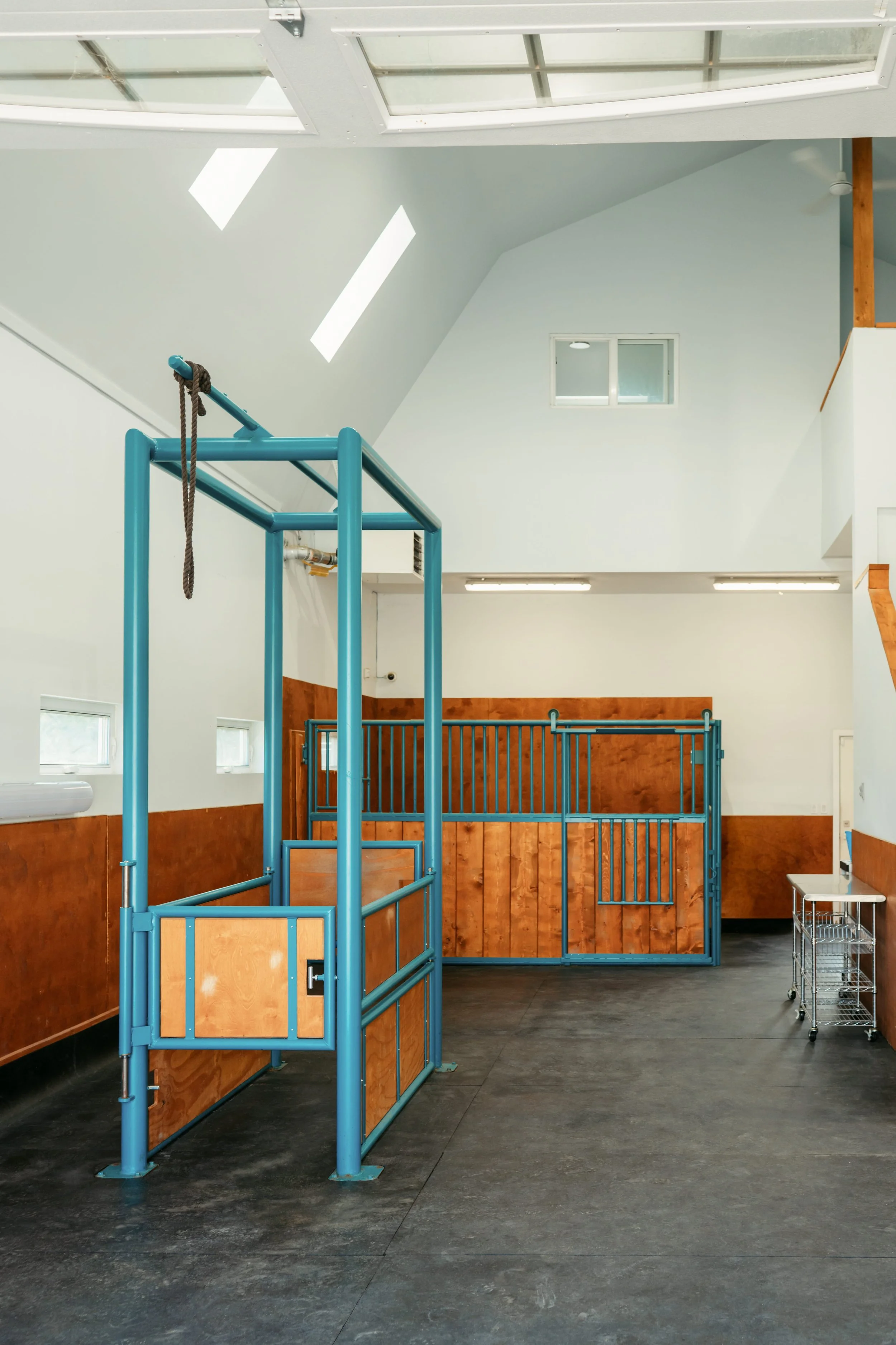 Treatment Area