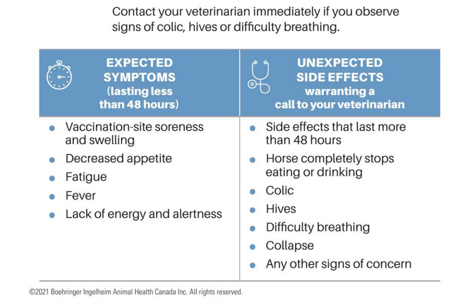 Spring Vaccines and their Reactions