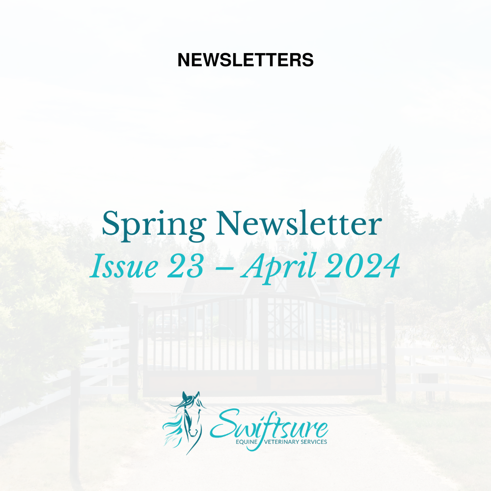 Spring 2024 - Issue 23 | Click to Download
