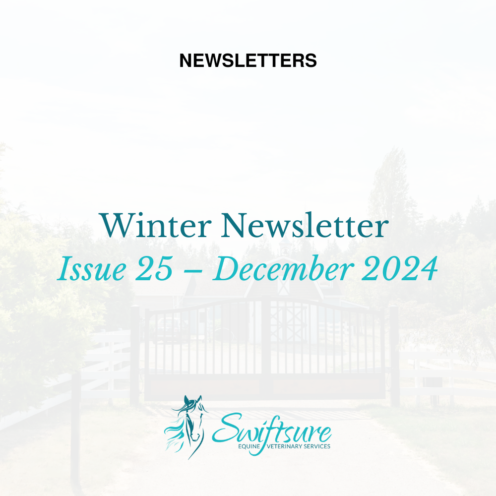 Winter 2024 - Issue 25 | Click to Download