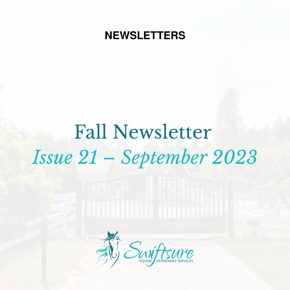 Fall 2023 - Issue 21  | Click to Download