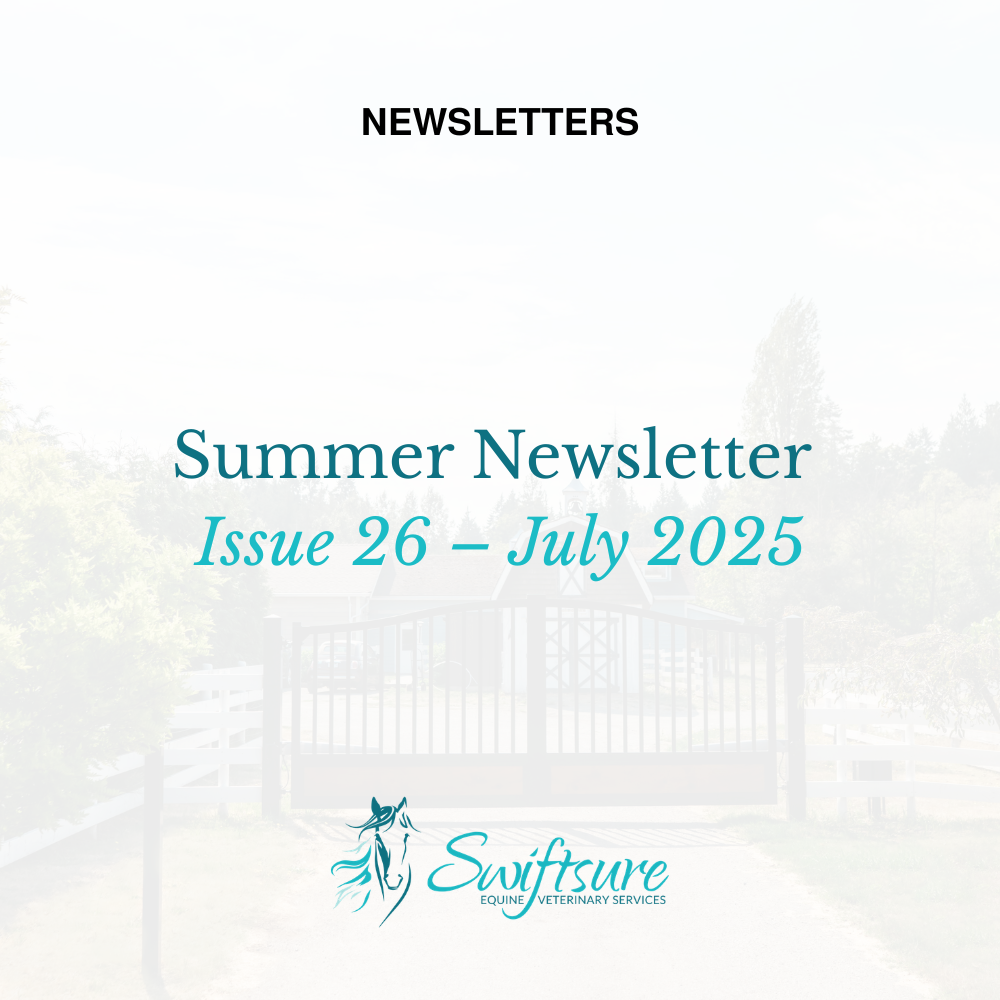 Summer 2025 - Issue 26 | Click to Download