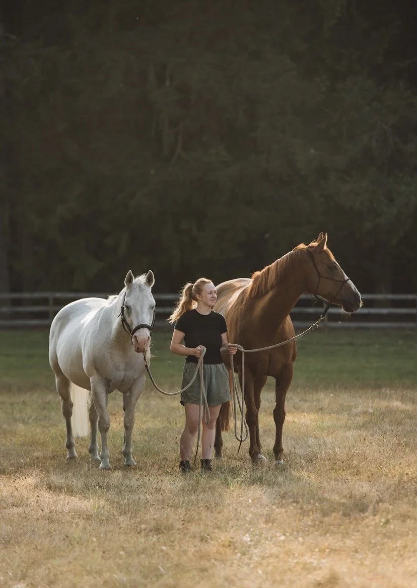 Young woman with two horses in a field