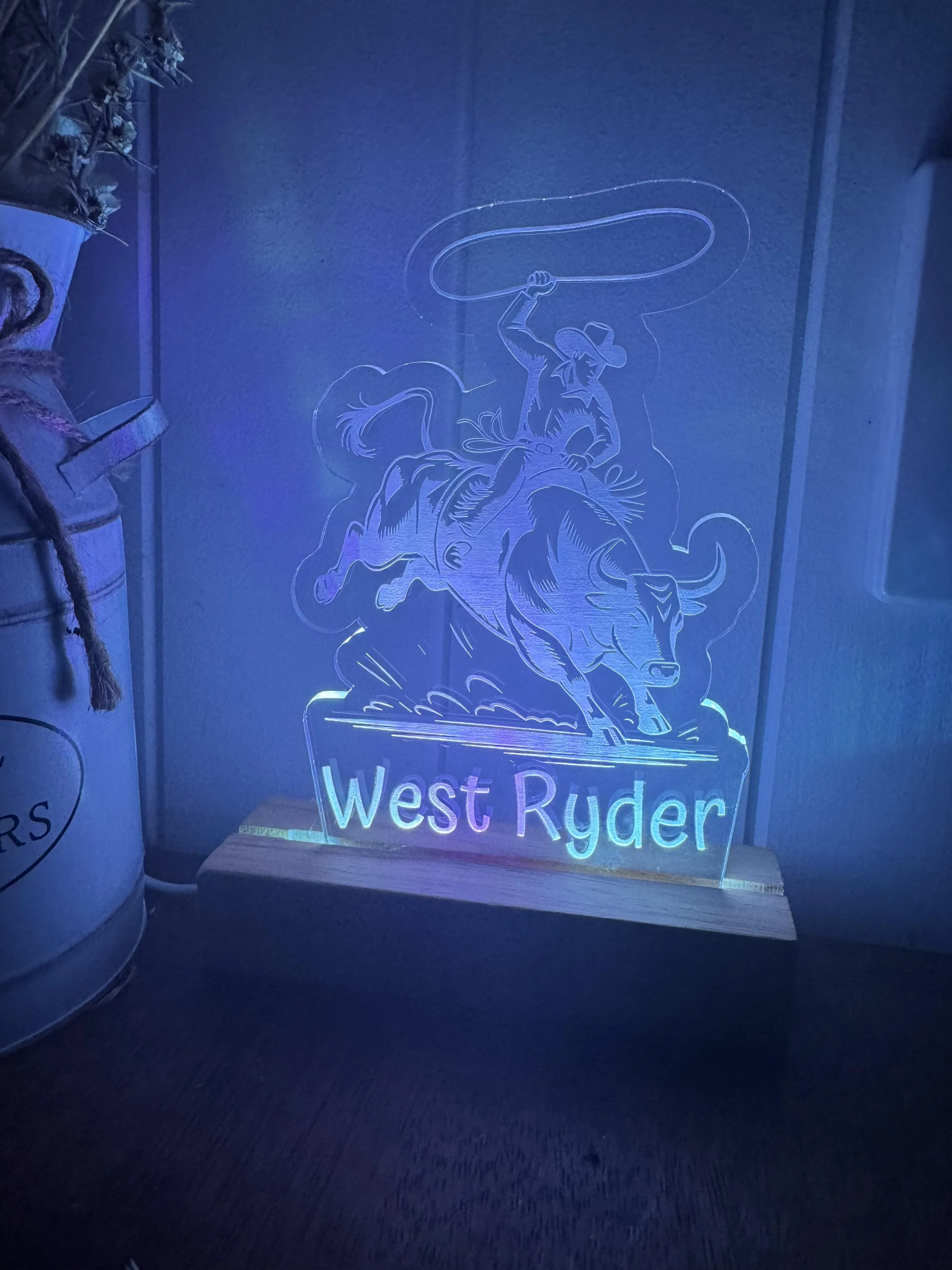 Bull Rider Personalised Night Light