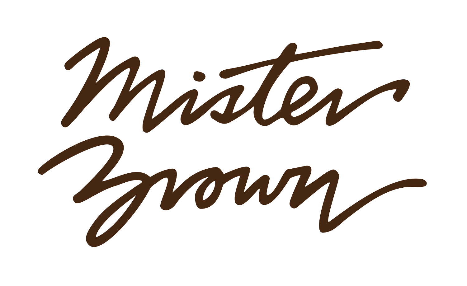 Mister Brown (Copy)