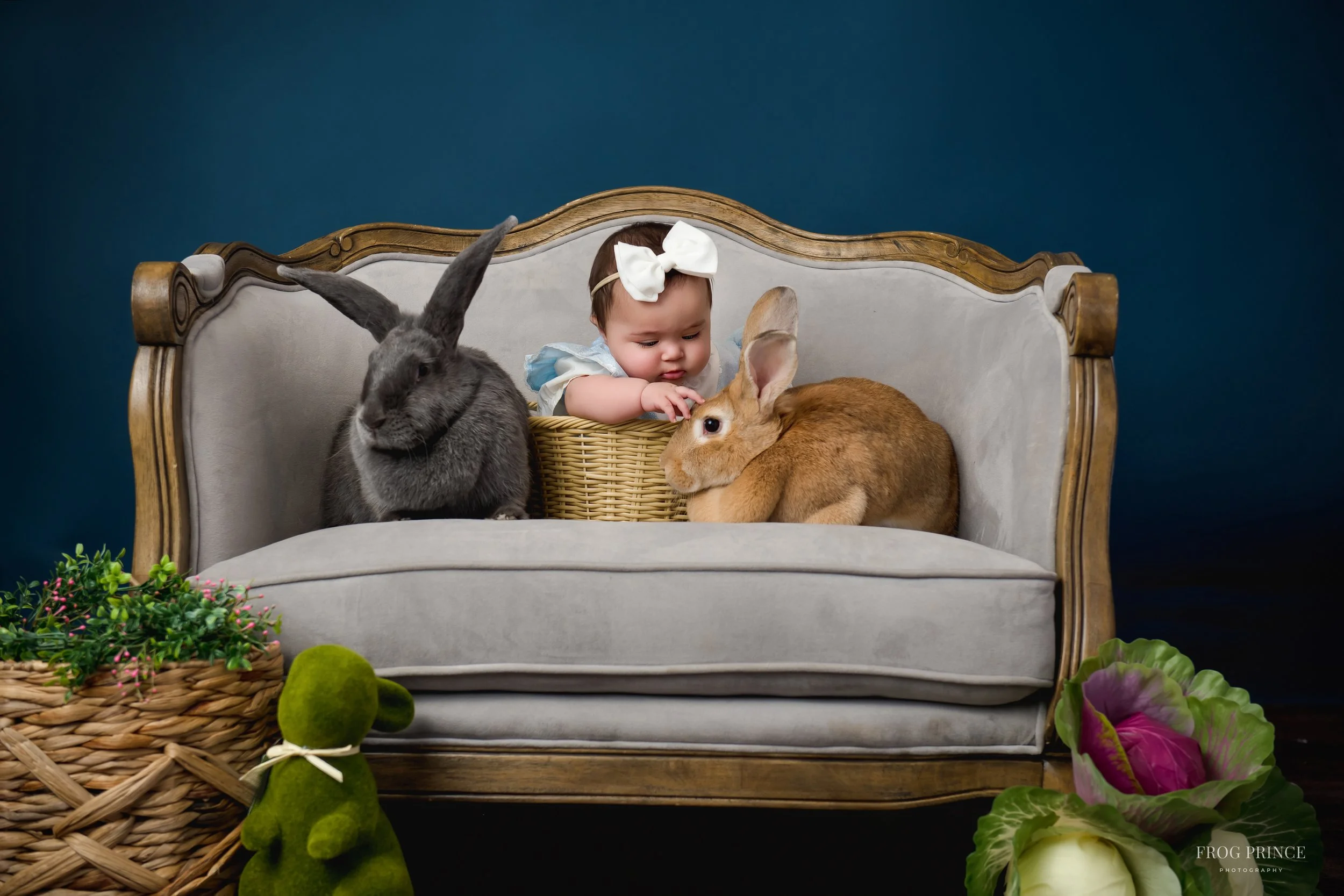 Baby girl petting bunny smiling at bunnies during spring mini session in Texas