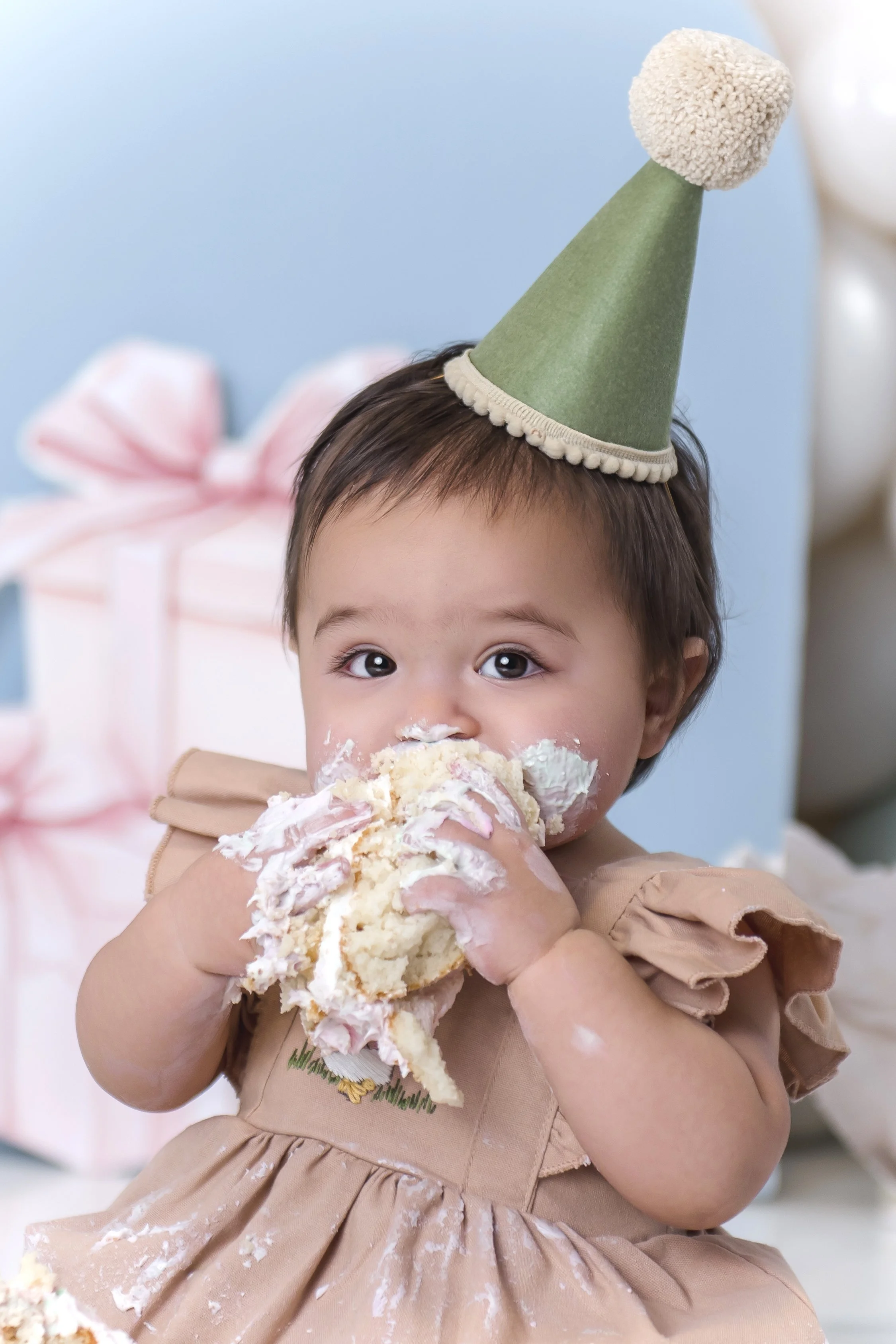 San Antonio Spring Branch Bulverde Cake Smash Photographer