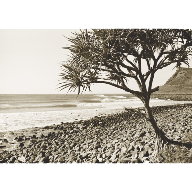 Lennox Head-Prints-John Pennings-Cyclops.png