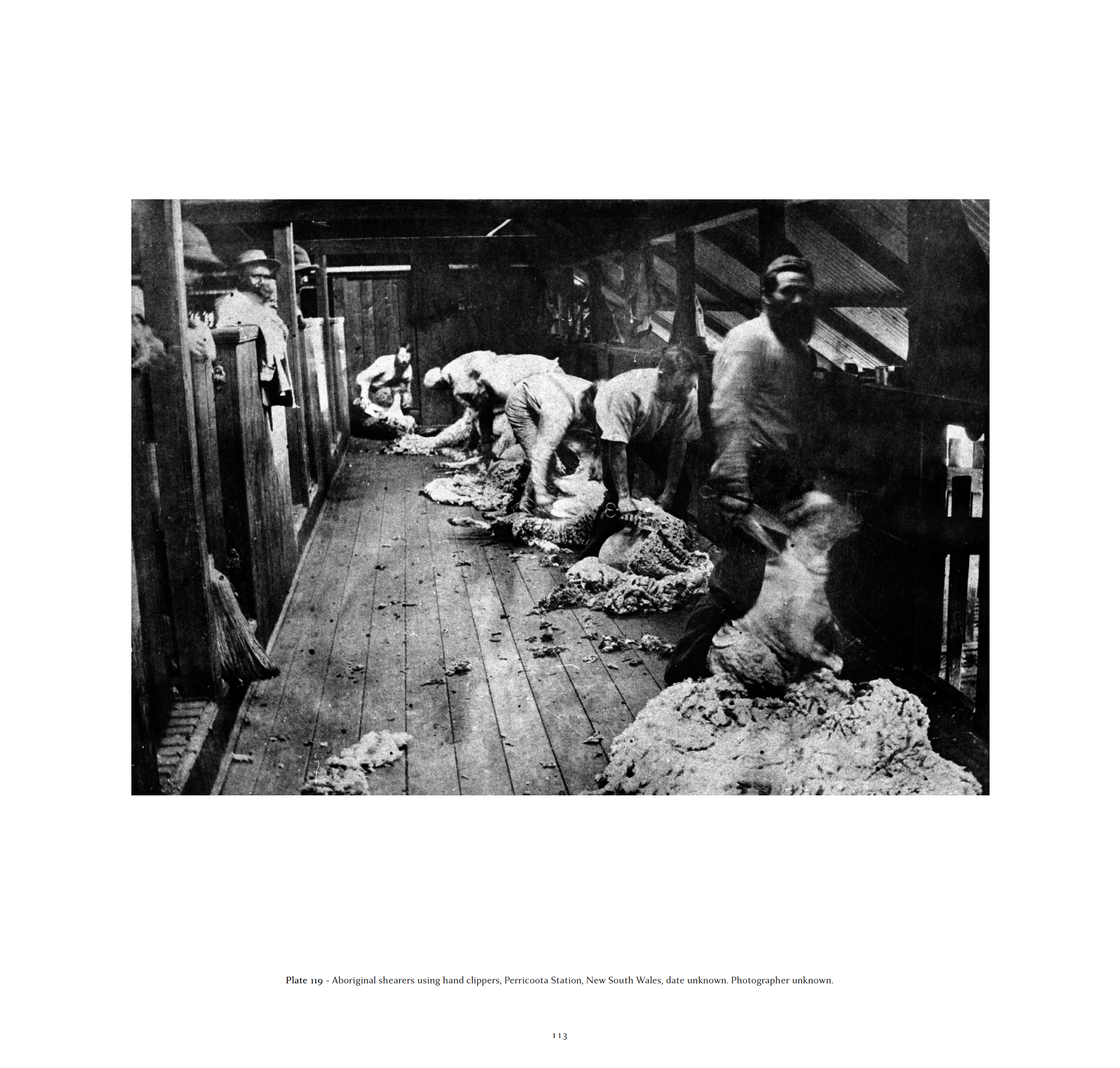 Portraits from a Land Without People-Books-Pages 3-Cyclops.png