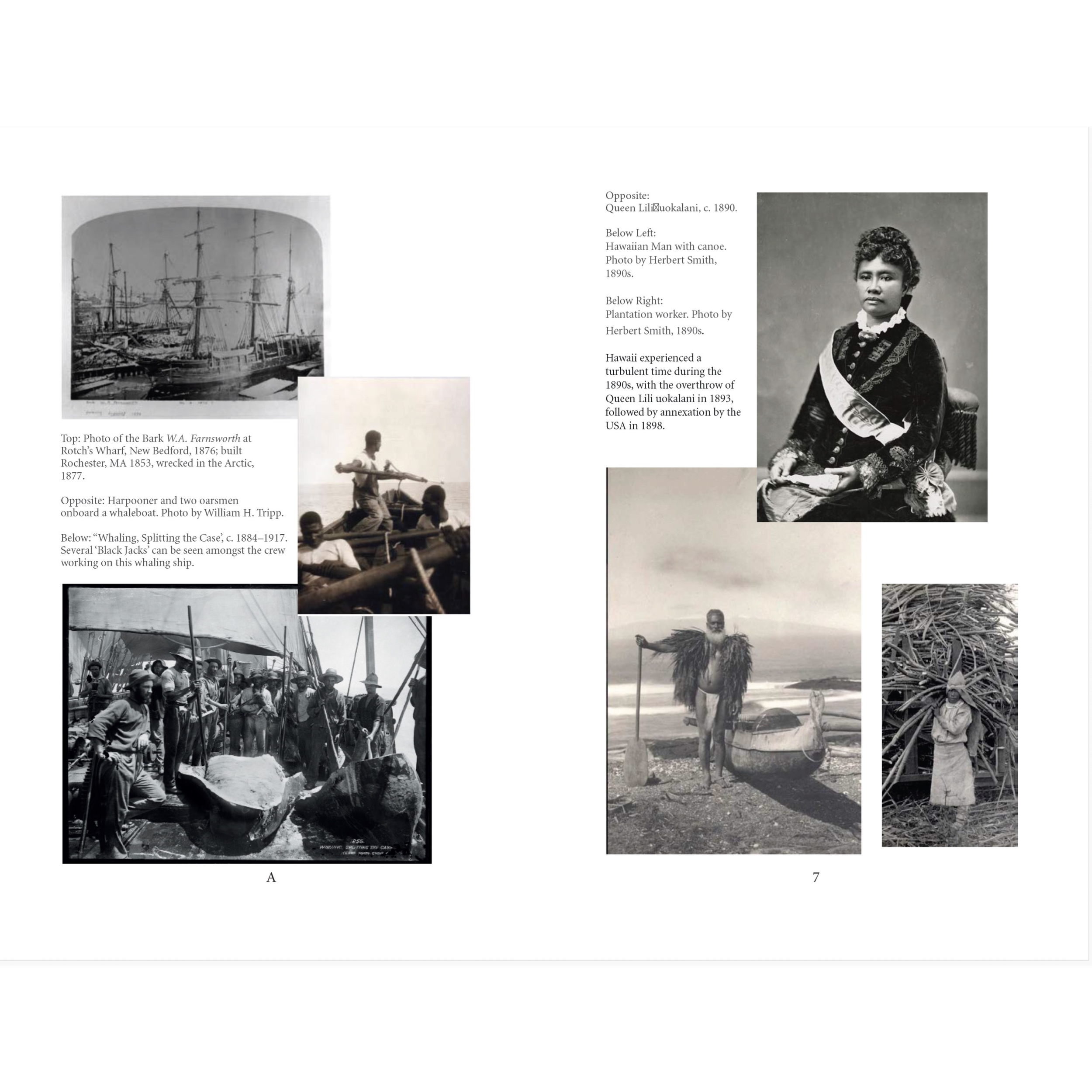 Whitewash-Books-Spread 3-Cyclops.png