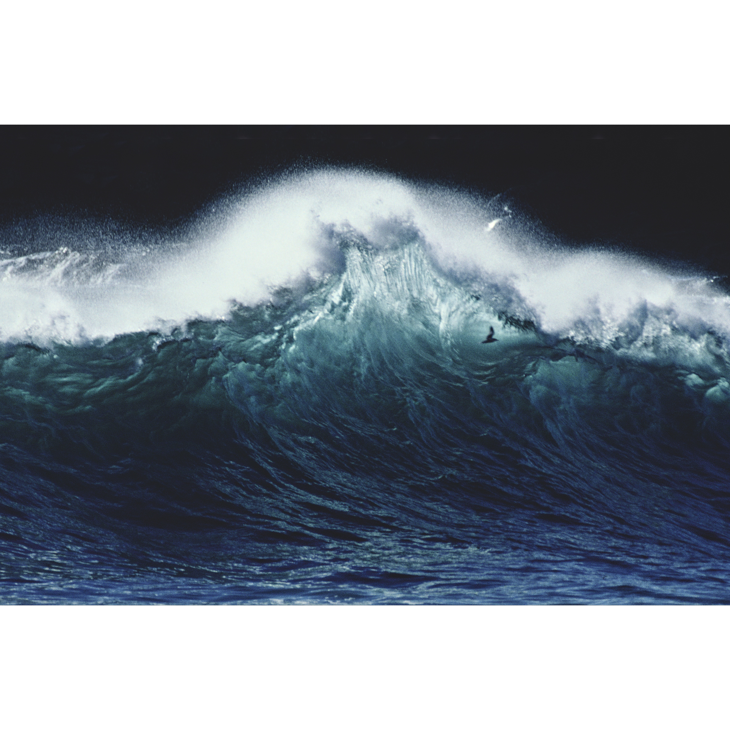 WHALE BEACH