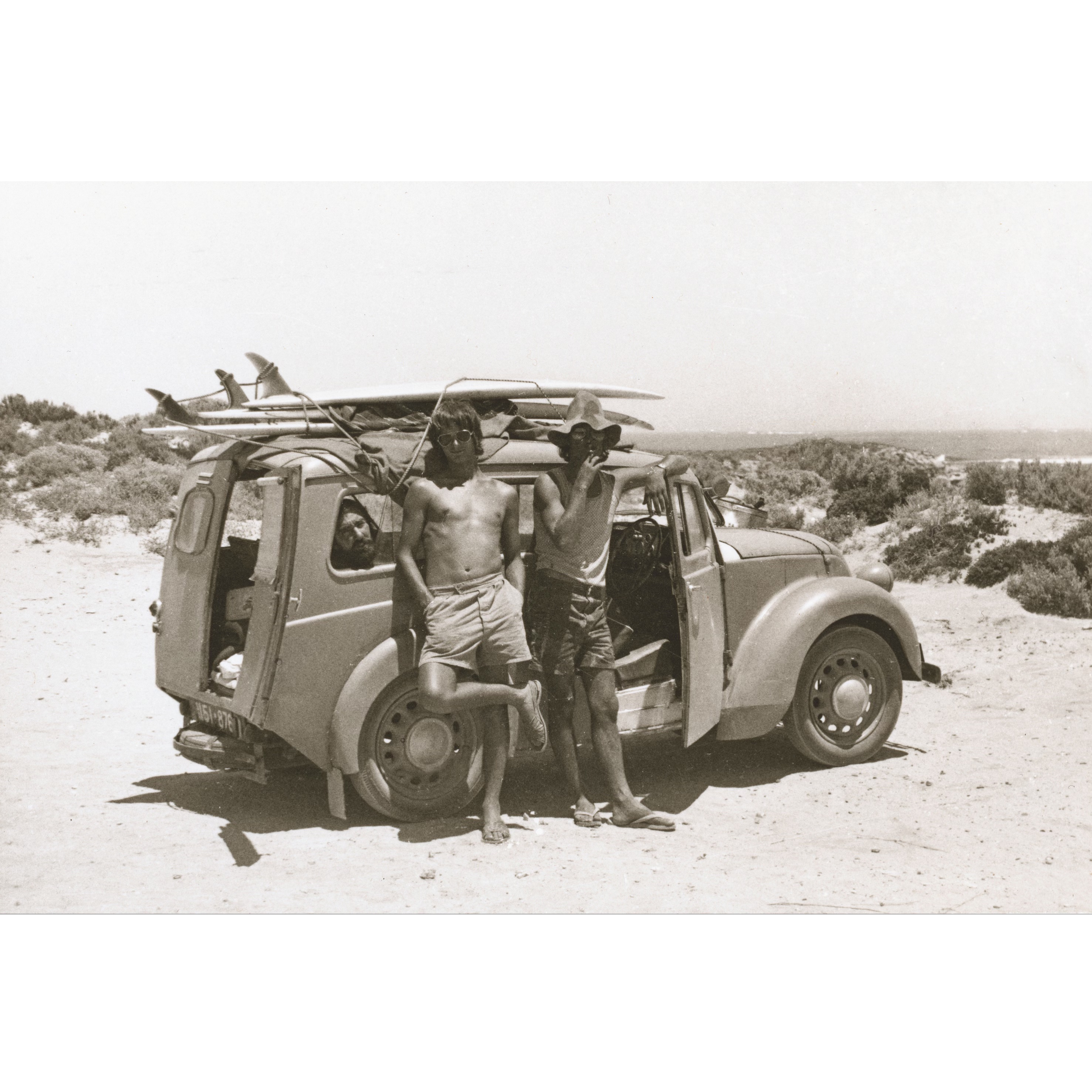 CACTUS SURF