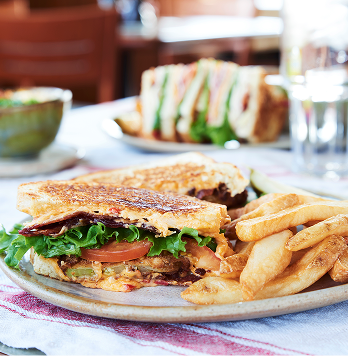 Close up of sandwich and fries