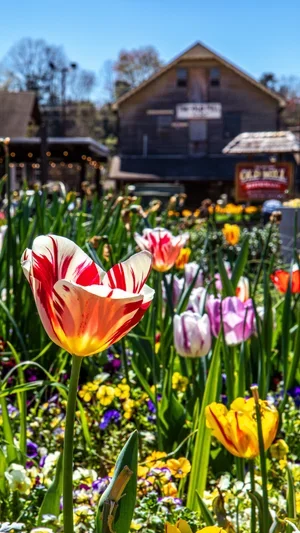 Spring+2024+1.webp