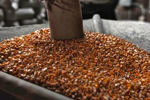 Corn+in+grinder_edited.webp