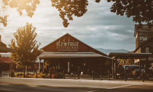 The Revival of Moonshining: A Spirited Journey in East Tennessee