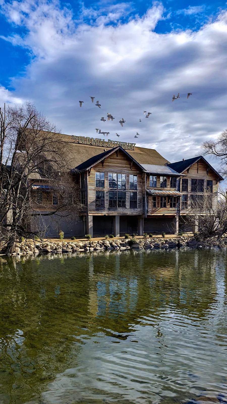 The Old Mill Restaurant riverside view (Little Pigeon River) in winter
