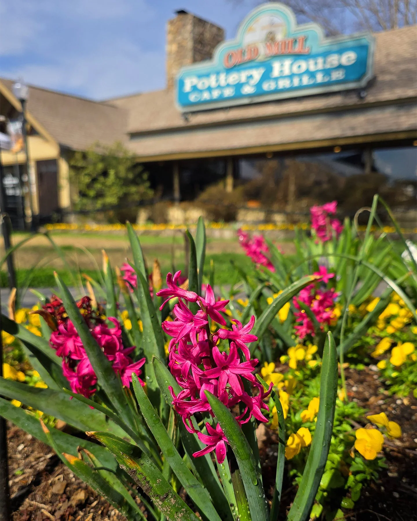 Exterior photo of Pottery House Cafe