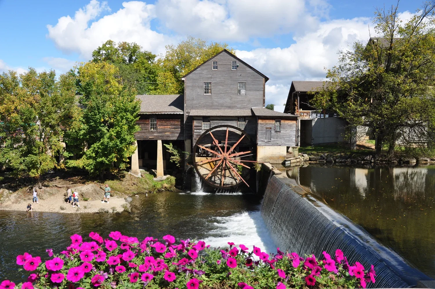 A Spring day at The Old Mill