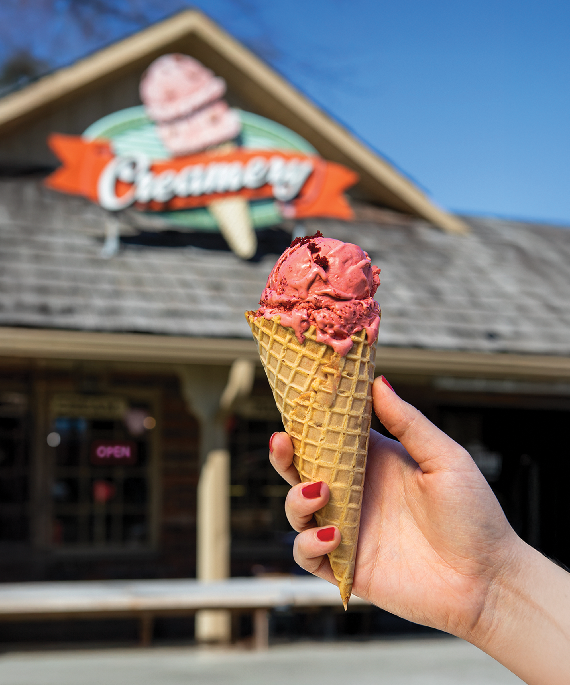 Close up of black cherry ice cream in a waffle cone , a local favorite in Pigeon Forge
