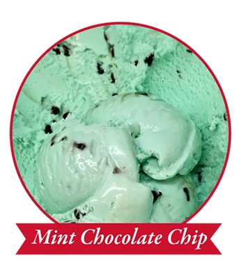 Mint Chocolate Chip ice cream