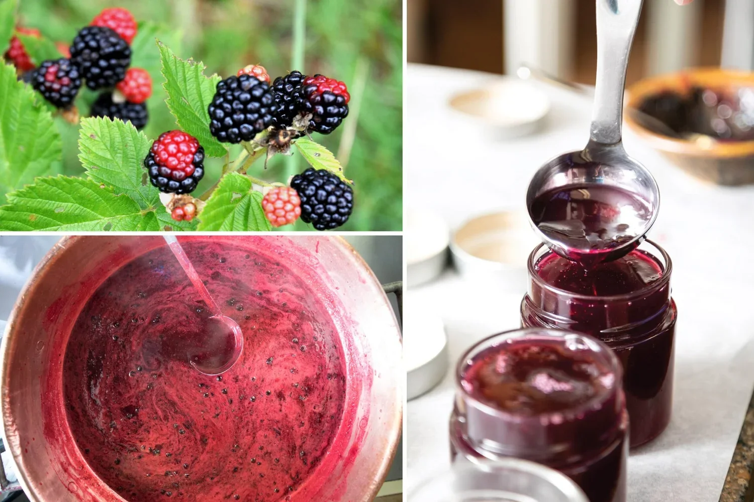 Preserving the Flavors of Summer, One Batch at a Time
