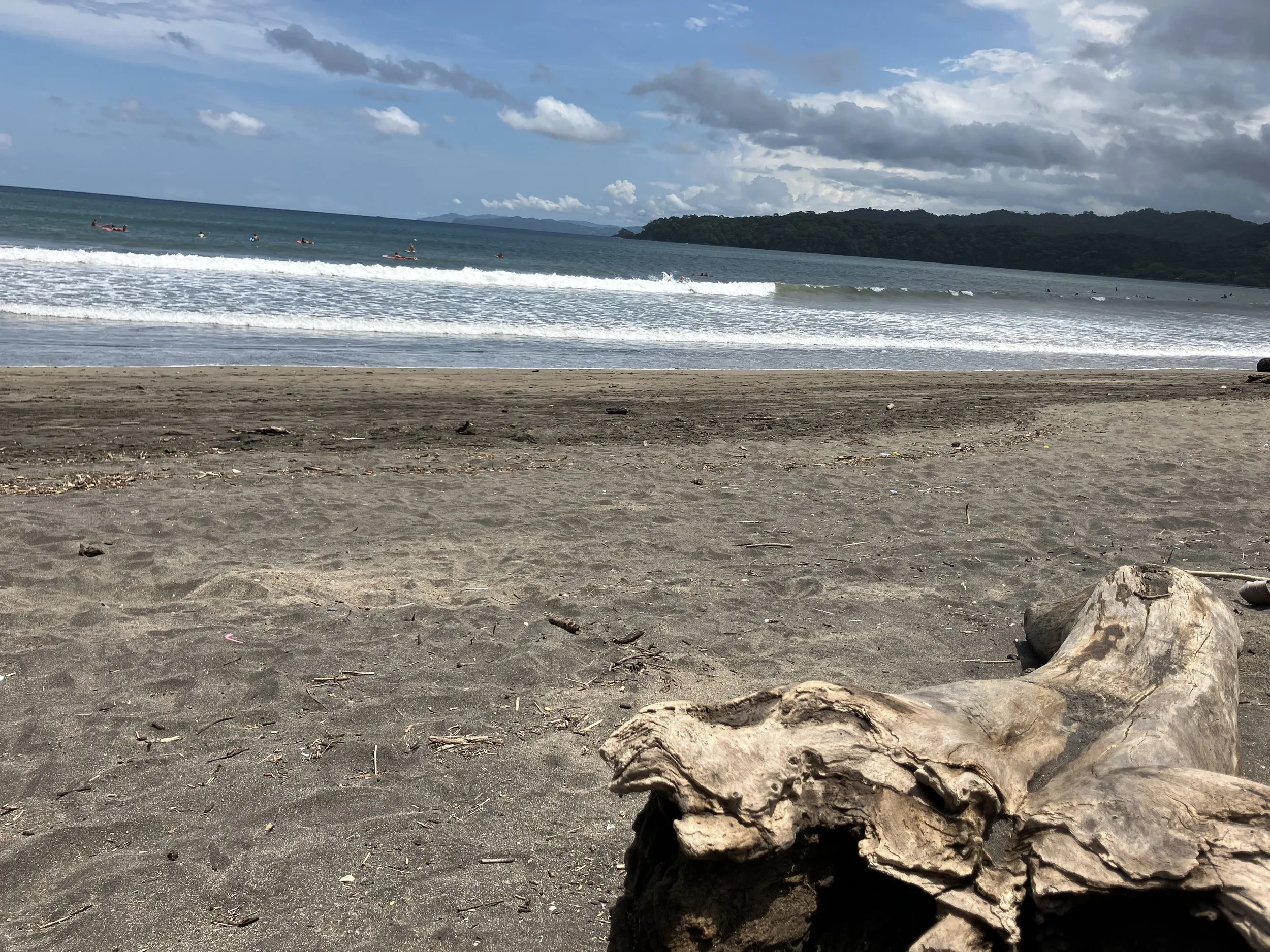 IMG_0487.jpeg