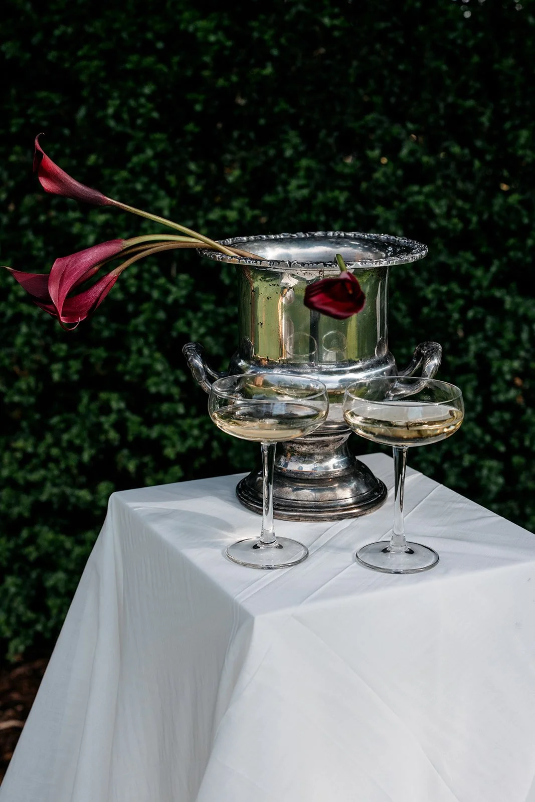 A silver trophy with two handles on a white tablecloth, with two champagne glasses filled with a light-colored beverage, and a red calla lily flower draped over the trophy's rim, set against a dark green foliage background.