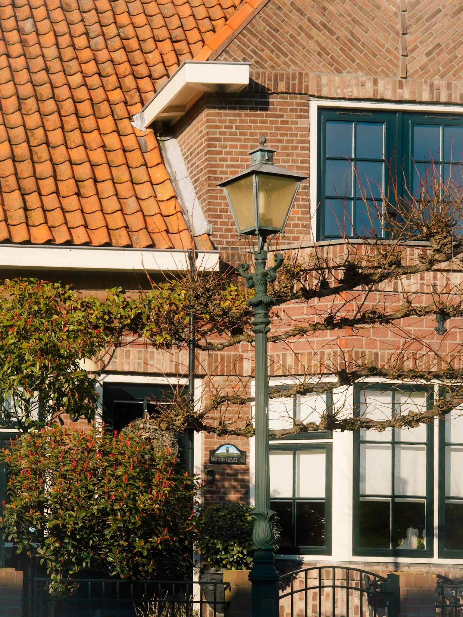 Een huis met een rode dakpan gevel, een blauwe deur met grote ramen, een ouderwetse lantaarnpaal en een takkenbos in de tuin.