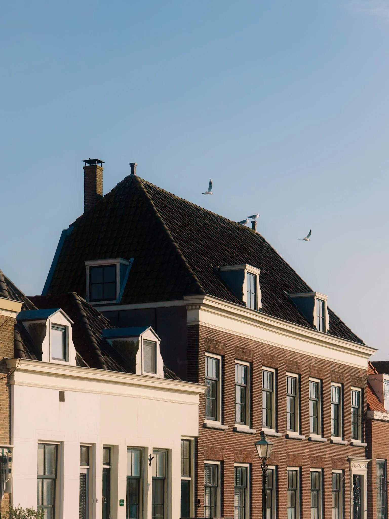 Gezicht op een straat met historische stenen en witte gebouwen, met enkele zeemeeuwen die in de lucht vliegen.