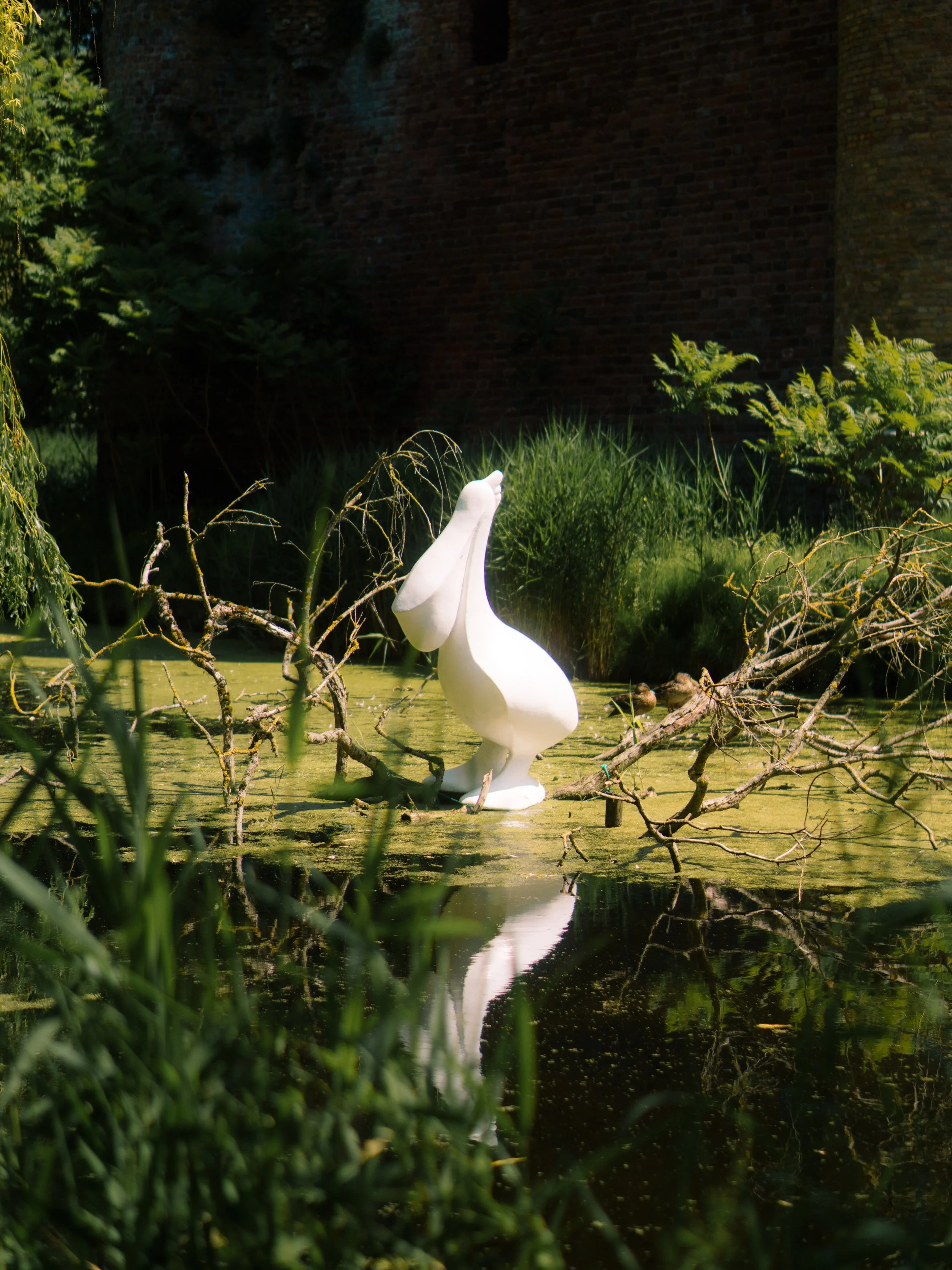 DSC08379.jpg